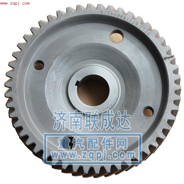 612600080452/1529,噴油泵齒輪,濟南路泰汽配有限公司