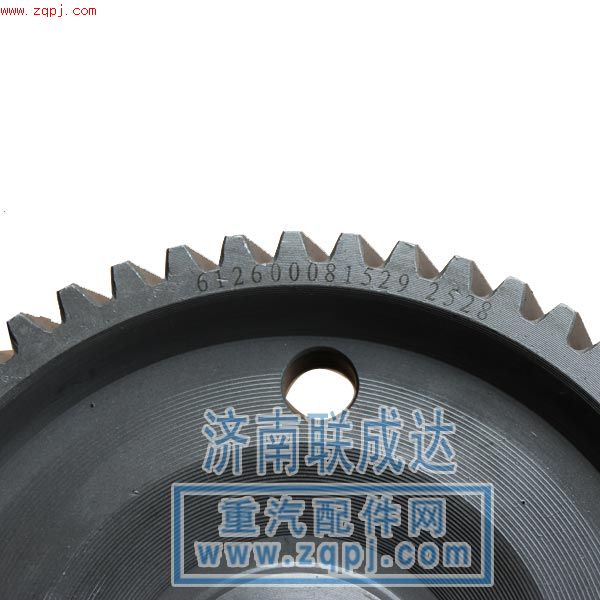 612600080452/1529,噴油泵齒輪,濟南路泰汽配有限公司