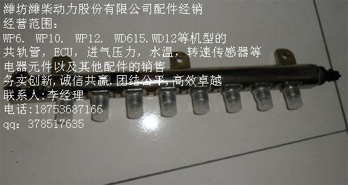 ,共軌泵,濰坊榮盛商貿(mào)發(fā)展有限公司