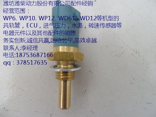 ,水溫傳感器,濰坊榮盛商貿(mào)發(fā)展有限公司
