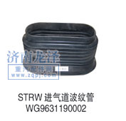 WG9631190002,進(jìn)氣道波紋管,山東弗殼潤滑科技有限公司
