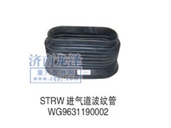 WG9631190002,進(jìn)氣道波紋管,山東弗殼潤滑科技有限公司