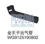 WG9125190802,金王子出氣管,山東弗殼潤(rùn)滑科技有限公司