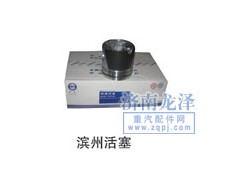 ,濱州活塞,山東弗殼潤滑科技有限公司