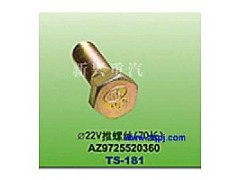 AZ9725520360,直徑22V推螺絲（70長(zhǎng)）,晉江新興螺絲有限公司