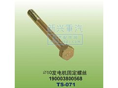 190003800568,￠10發(fā)動機(jī)固定螺絲,晉江新興螺絲有限公司