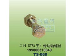 199000310049,￠14STR王傳動(dòng)軸螺絲,晉江新興螺絲有限公司