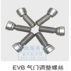 EVB氣門(mén)調(diào)整螺絲  612630050011
