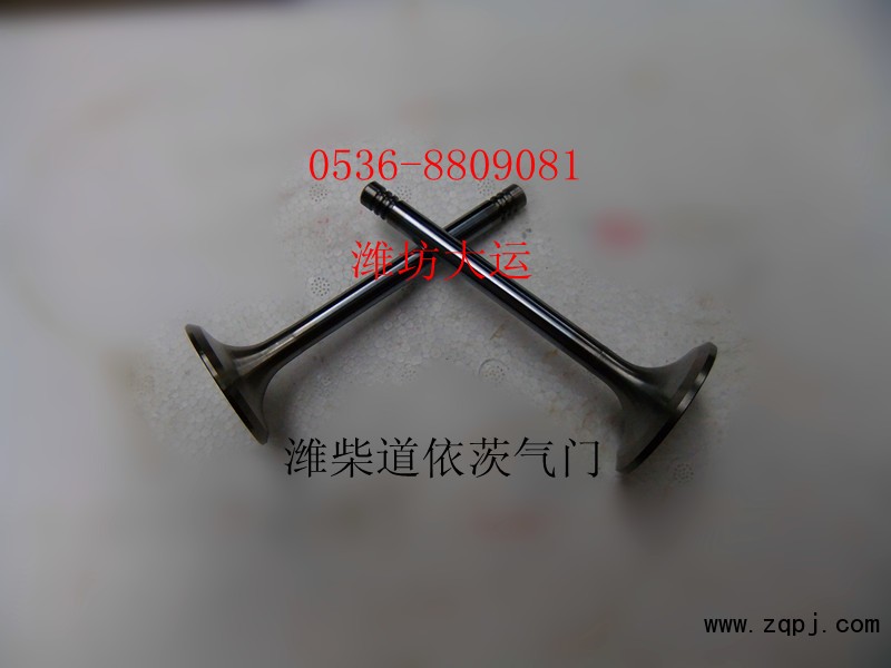 供應(yīng)道依茨配件進(jìn)排氣門12159606/12159608/12159606/12159608