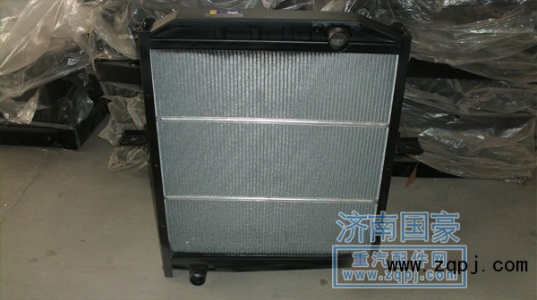 1124113100002,水箱散熱器總成,濟(jì)南鼎立興丞汽車(chē)配件有限公司