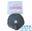 33117,油箱蓋（塑料）,濟南博涵汽配有限公司