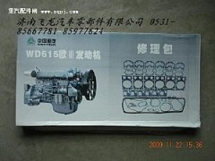 ,發(fā)動(dòng)機(jī)修理包,濟(jì)南飛龍汽車(chē)零部件有限公司
