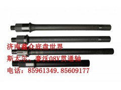 AZ9231320261,貫通軸（8、28、39、46齒）,濟(jì)南國(guó)橋汽車零部件有限公司