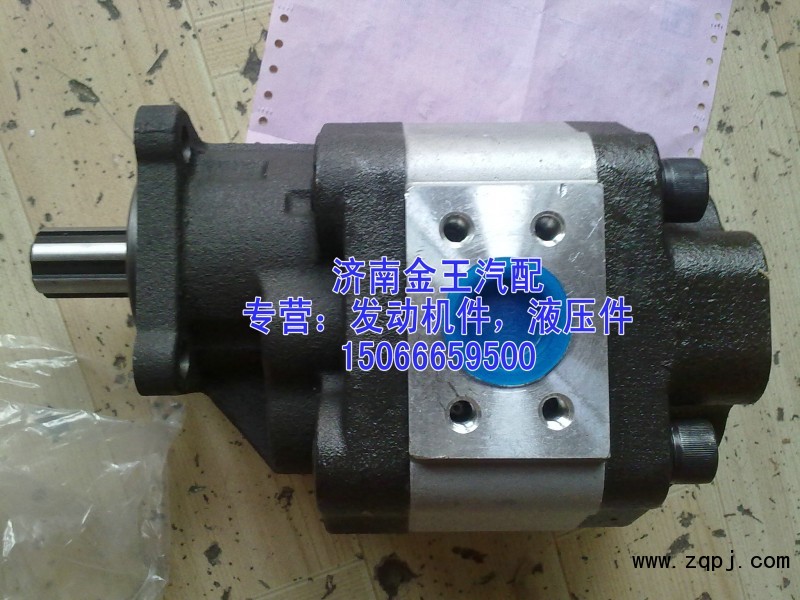 供應(yīng)齒輪油泵，齒輪泵，液壓泵CBHBD-F100H8，H6/CBHBD-F100H8，H6