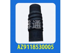 AZ9118530005,,濟(jì)南博通重汽備件庫