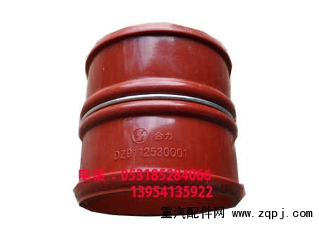DZ91125530001/DZ91125530001