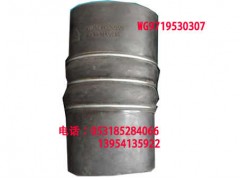 WG9719530307,,濟(jì)南博通重汽備件庫(kù)