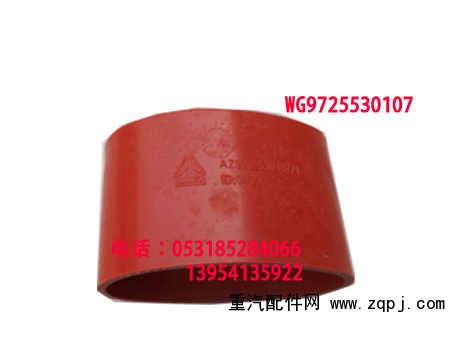 WG9725530107/WG9725530107