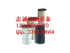 06-5,抗阻燃除塵濾筒,廊坊志誠過濾設備廠