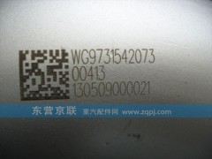 WG9731542073,,東營(yíng)京聯(lián)汽車銷售服務(wù)有限公司