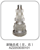 AZ2203030101,副軸總成(左、右),濟(jì)南納沛貿(mào)易有限公司