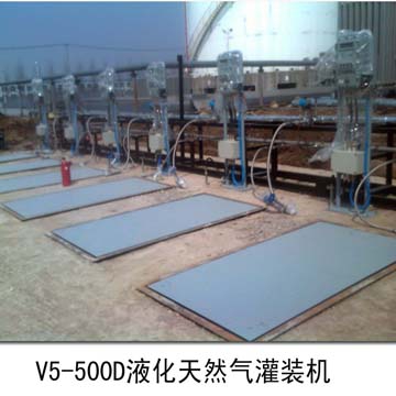 ,防爆液體定量灌裝機,上海畢勝實業(yè)有限公司