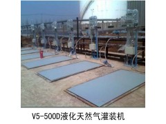 ,防爆液體定量灌裝機,上海畢勝實業(yè)有限公司