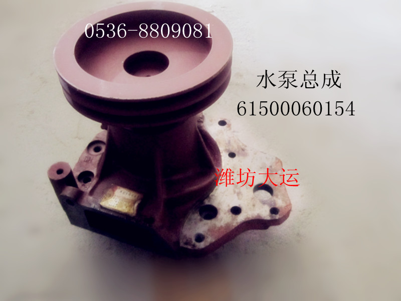 水泵總成  61500060154/61500060154