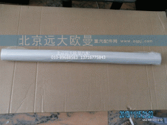1B24953504035,副駕駛側(cè)飾條總成,北京遠大歐曼汽車配件有限公司