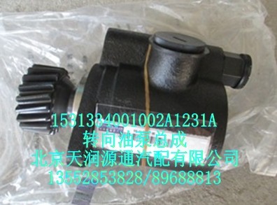 轉向油泵總成/1531334001002A1231A