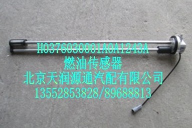 燃油傳感器/H0376030001A0A1243A