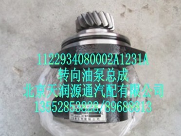 轉(zhuǎn)向油泵總成/1122934080002A1231A