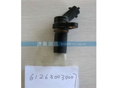 612630030007,曲軸轉(zhuǎn)速傳感器,濟南路泰汽配有限公司