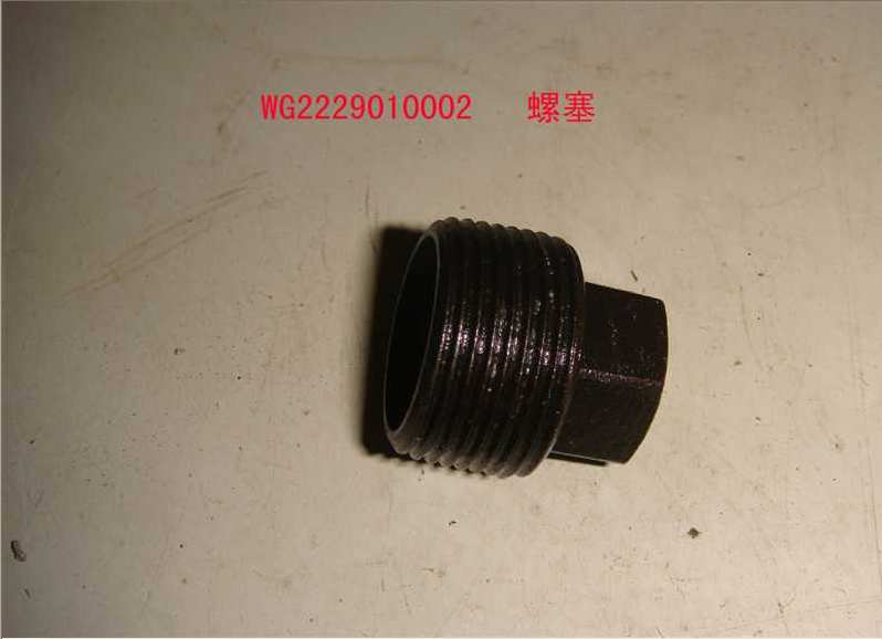 WG2229010002,螺塞,濟南聚麟汽車銷售服務(wù)有限公司