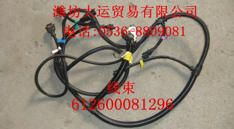 線束612600081296/612600081296