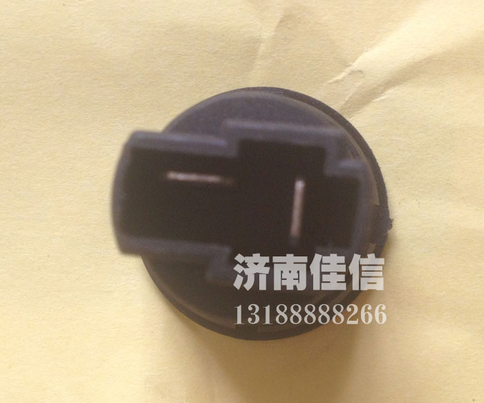 WG1634720001,門(mén)燈開(kāi)關(guān),濟(jì)南同馳汽車(chē)配件有限公司