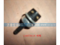 116000770119,噴咀,濟南信興汽車配件貿易有限公司