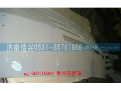 WG1600110001,散熱器面罩(改進(jìn)型),濟(jì)南信興汽車配件貿(mào)易有限公司