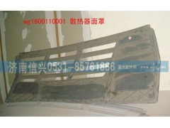 WG1600110001,散熱器面罩(改進(jìn)型),濟(jì)南信興汽車配件貿(mào)易有限公司