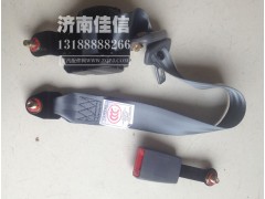 WG1600560001,安全帶,濟(jì)南同馳汽車(chē)配件有限公司