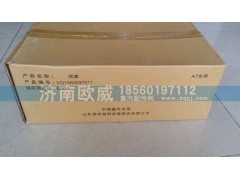 VG1560037011 E006,活塞,濟(jì)南歐威重型汽配有限公司