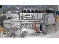 VG1093080110,高壓油泵,濟(jì)南杭曼汽車配件有限公司