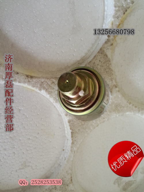 中國(guó)重汽親人VG1500090051壓力傳感器/VG1500090051壓力傳感器