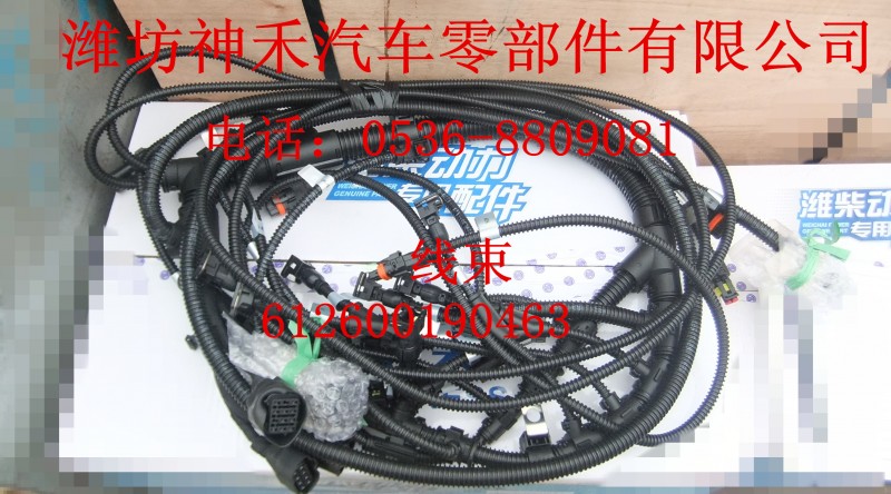 線束612600190463/612600190463