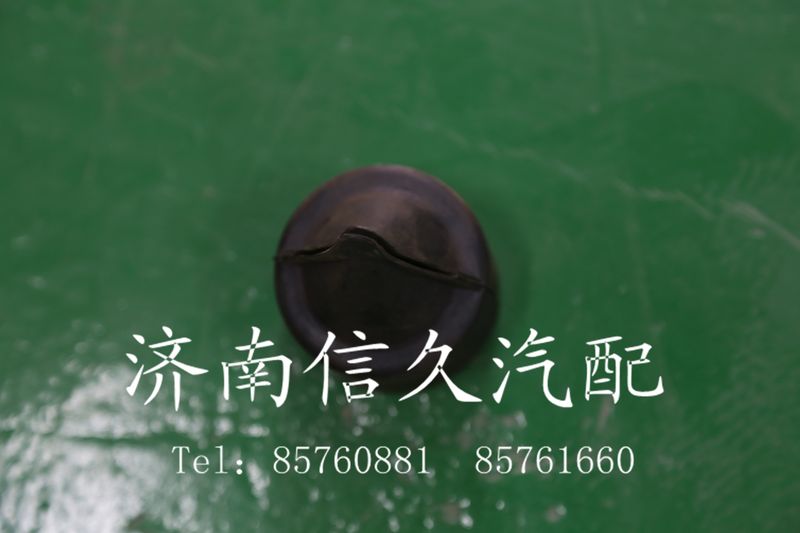 鴨子嘴/