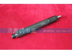 VG1560080276,噴油器總成,濟(jì)南約書亞汽車配件有限公司（原華魯信業(yè)）