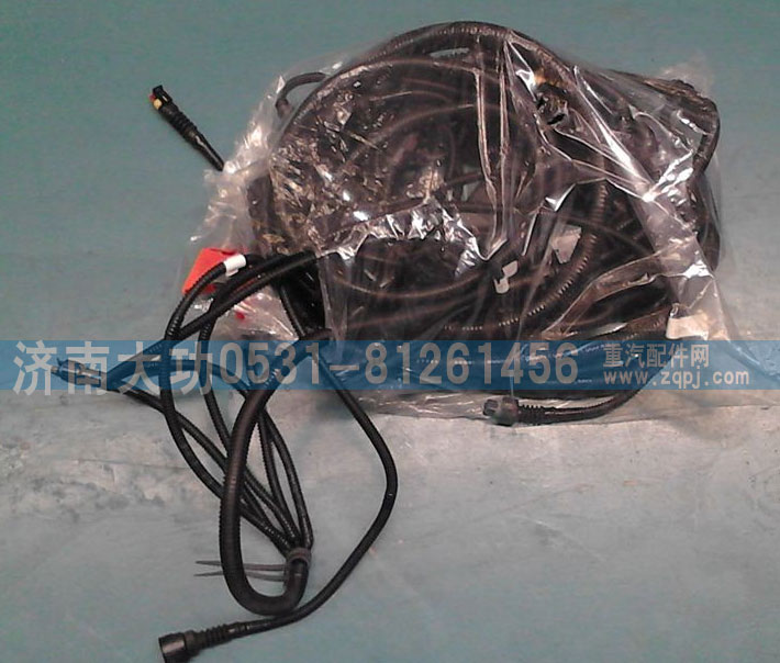 重汽杭發(fā)VG1238090102發(fā)動(dòng)機(jī)線束/VG1238090102