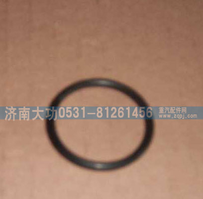 VG1540040010,噴油器襯套密封圈,濟(jì)南大功汽車配件有限公司