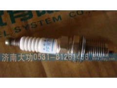 VG1560080701,火花塞 T10,濟(jì)南大功汽車配件有限公司