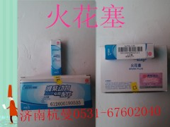 612600190535,火花塞,濟南杭曼汽車配件有限公司